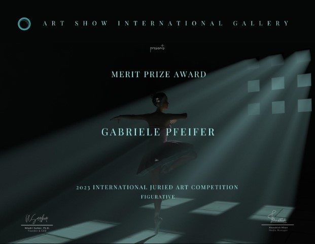 Merit Prize Award